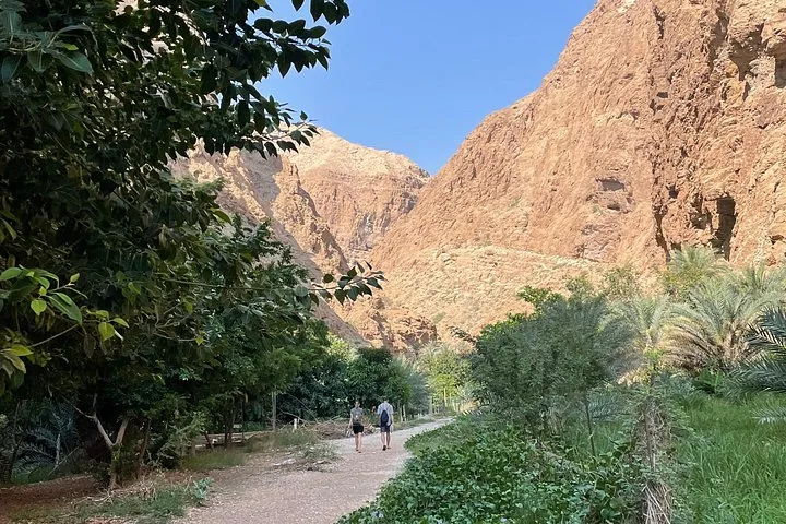Due persone camminano su un sentiero circondato dal verde nel profondo del canyon di Wadi Shab.
